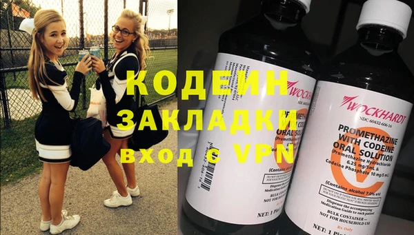 индика Армянск