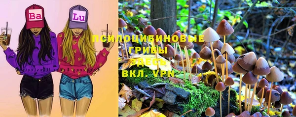 герыч Арсеньев