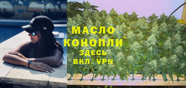 индика Армянск