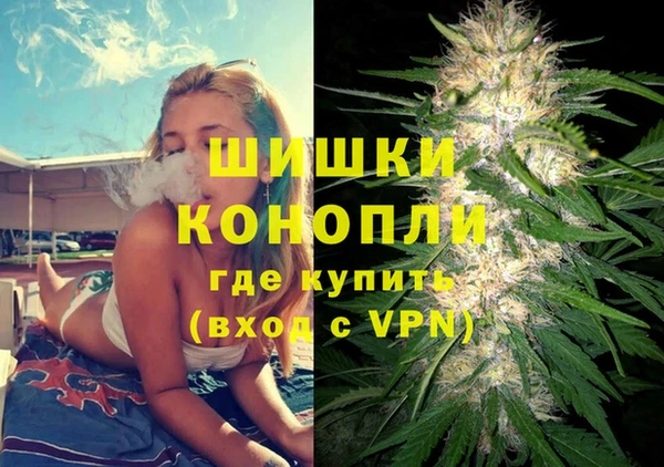 Альфа ПВП Аркадак