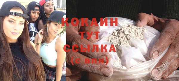 индика Армянск