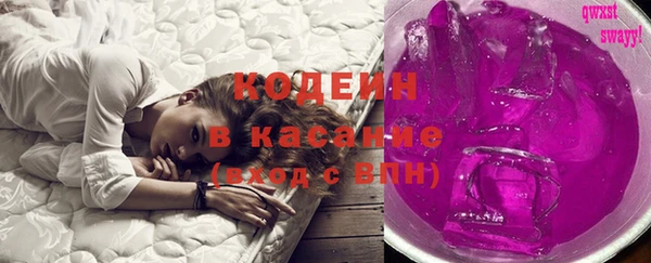 индика Армянск