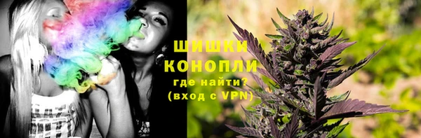 Альфа ПВП Аркадак