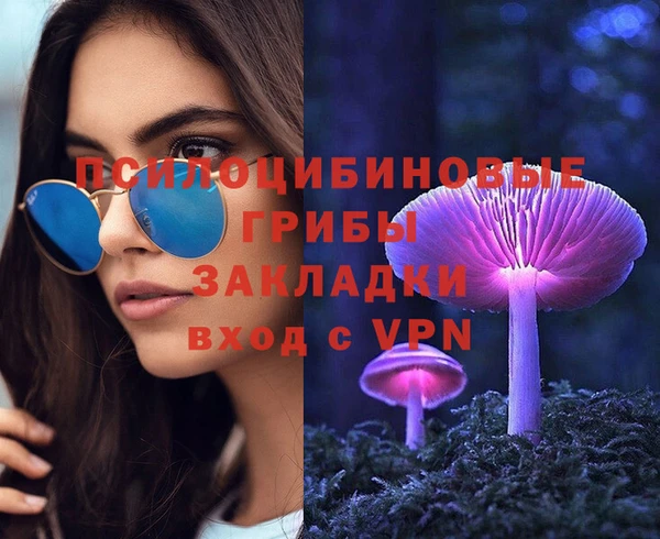 индика Армянск